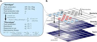 Several types of cells of the immune system perform phagocytosis, such as neutrophils, macrophages, dendritic cells, and b lymphocytes. Toxin Production Spontaneously Becomes Regulated By Local Cell Density In Evolving Bacterial Populations