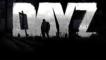 Once lit, it can be used to cook food and provide warmth and light to any nearby survivors. How To Build A Fire In Dayz Tips Prima Games