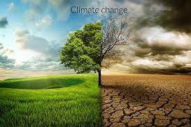 The intergovernmental panel on climate change (ippc) will publish a new report on monday aug. Climate Change Current Situation And How We Can Help Co2cards