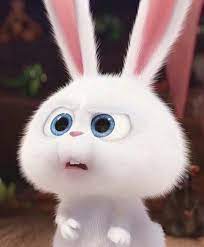 Nah buat kalian para desain grafis yang saat ini sedang mencari gambar binatang dengan format jpg, png. Pin Oleh Shronky Di Lucu Kartun Gambar Kelinci Gambar Karakter