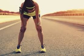 What Is Homeostasis Live Science