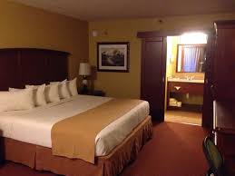 Compare reviews and find deals on hotels in with skyscanner hotels. Room With King Size Bed Picture Of Rosen Inn At Pointe Orlando Tripadvisor