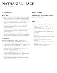 Principal Developer Resume Samples