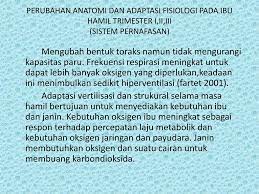 Sistem respirasi juga berfungsi menyesuaikan suhu dan kelembapan tubuh dengan udara sekitar. Oleh Sefti Winda Sari Ib Ppt Download