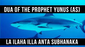 La Ilaha Illa Anta Subhanaka Dua Of The Prophet Yunus As Saad Al Qureshi Youtube
