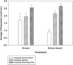 Average Number Of Inflorescences Per Pot For Three Geranium Cultivars Download Scientific Diagram