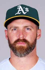 NC Dinos sign Matt Davidson