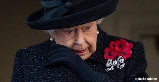 An 'idiot' PM and the appeal of 'four-legged dictators'