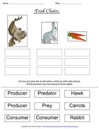 Food Chains And Food Webs Interdependence Energy Predator Prey Relati Responsive Classroom Next Generation Science Standards Printable Activities For Kids
