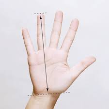 The length of the index finger is approximately 9 cm. Mouse Sizing Guide Goldtouch