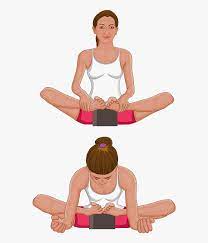 On the linked pages you can find the basic pose, it's various other names, health benefits, step by step instructions, pictures to check your alignment, contraindications, tips for beginners and all kinds of easy and difficult variations related to that posture. Butterfly Pose Variations Hd Png Download Kindpng