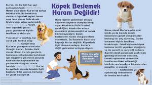 kopek beslemek haram degildir kopek kitap din