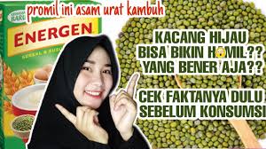 Tutorial menyeduh energen rasa kacang ijo. Promil Alami Kacang Hijau Bisa B1k1n H4m1l Ini Faktanya Ucy Binti Khrusni Youtube