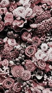 900 Floral Iphone Wallpapers Ideas Iphone Wallpaper Floral Iphone Flower Wallpaper Find the best iphone 6s original wallpaper on getwallpapers.