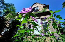 Die baulichen konzepte lassen haus und garage zu einer ästhetischen einheit verschmelzen. Kurzere Nutzungsdauer Fur Die Gebaude Afa Steuern Haufe