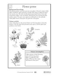 This category provides general descriptive information about the plant including whether it is deciduous drops its leaves in fall evergreen or semi evergreen. Science Flowering Nonflowering Fern Flowers