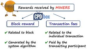 As activity in cryptographic assets has increased, it has attracted. How To Account For Cryptocurrencies In Line With Ifrs Cpdbox Making Ifrs Easy