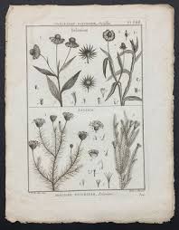 Image result for Leysera