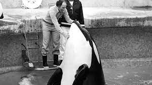 Check spelling or type a new query. Archive Photos Show The Vancouver Aquarium When It Opened Ctv News