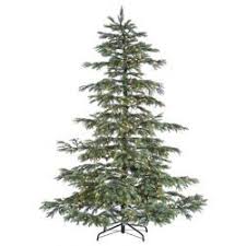 Treetopia's noble fir is as beautiful as the celebrated evergreen on which it is based. 8 Hx72 W Layered Noble Fir Smart Lighted Artificial Christmas Tree W Stand Noble Fir Christmas Tree Balsam Fir Christmas Tree Noble Fir