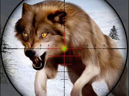 Your goal is to shoot a certain amount of targets. Play Fox Hunting Sniper Shooting Free Game Online On Gamescrush Com