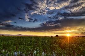 Wyoming Office of Rural Health Updates