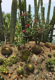 Featuring free wifi and a restaurant, lemon & soul hotel cactus garden offers accommodations in playa jandia, 11 mi from costa calma. Cactus Garden Singapore 2021 All You Need To Know Before You Go With Photos Singapore Singapore Tripadvisor