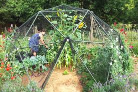 This Diy Geodesic Dome Goes Anywhere Geodesic Dome Kit Geodesic Dome Geodesic