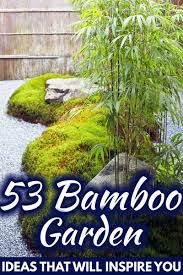 There is a real chance that bamboo planted in your garden could become uncontrollable. 53 Bamboo Garden Ideas That Will Inspire You Garden Tabs