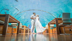 Beautifully landscaped luxury wedding villas await your memorable celebration. A Maldives Wedding All You Need To Know The Maldives Expert
