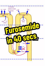 Image result for Loop Diuretic