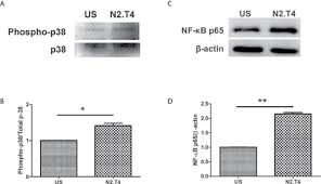 Image result for tbn:oICZ-UHpUGgp-M::files.nireblog.com/blogs/familiaschwingel/files/familias2.bmp