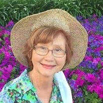 Mary Sue Flippo Obituary