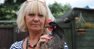 Burglars kick chicken to death