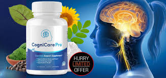 CogniCare Pro Daily Wellness Aid Explained: Can One Supplement Support  Focus, Energy, and Balance?