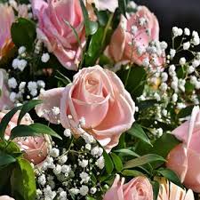 Haylie Kay Schwartz Obituary (1991