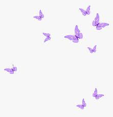 See 5152 remixes with this sticker. Pink Butterflies Png Png Download Pink Butterfly Png Clipart Transparent Png Transparent Png Image Pngitem