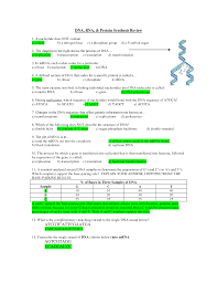 Student exploration rna and protein synthesis gizmo answer key is available in our book collection an online access to it is set as public so you can get it instantly. Rna And Protein Synthesis Gizmo Answers Quizlet