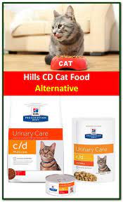 Pin On Cat Food