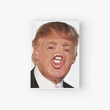 A funny, yet eerie photo in which donald trump's eyes have been edited and moved to different areas of his head! Lustiger Donald Trump Meme Spiralblock Von Kiyomishop Redbubble
