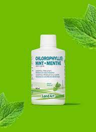Learn more about what chlorophyll water can do for you. Chlorophylle Liquide A La Saveur De Menthe Landart