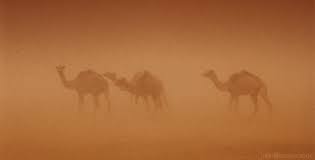 The camel's thick coat does a good job of reflecting sunlight and providing nice insulation from the sun and the it is also thin enough that the camels can see through it somewhat. Understanding Sand And Dust Storms Ecomena