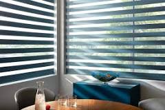 How Much Do Zebra Blinds Cost?