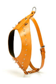Doggie Gladyator Kopek Gogus Tasmasi Large Kamel Trendyol
