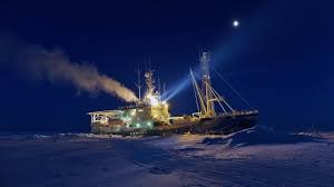>!just monika!< and get just monika. Incredibly Thin Arctic Sea Ice Shocks Researchers Nature News Comment