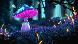 Up or, down 1,823 7 1. Magical Mushroom Fantasy Abstract Background Wallpapers On Desktop Nexus Image 2364861