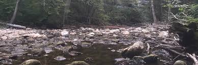 We did not find results for: Otter Creek Trail West Virginia Trails Traillink