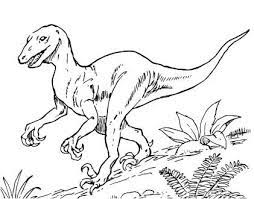 Do you want to trace them and color? Dinosaur Deinonychus Coloring Page Dinosaur Pictures Dinosaur Coloring Pages Dinosaur Coloring