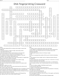 Dna fingerprinting (also called dna profiling or forensic genetics) is a technique employed by forensic scientists to assist in the identification of individuals or samples by their respective dna profiles. Dna Crossword Worksheet Printable Worksheets And Activities For Teachers Parents Tutors And Homeschool Families