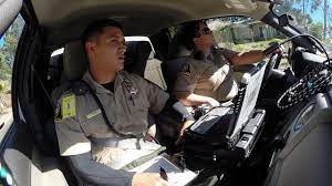 Hitching A Ride With Animal Control Officers - Youtube